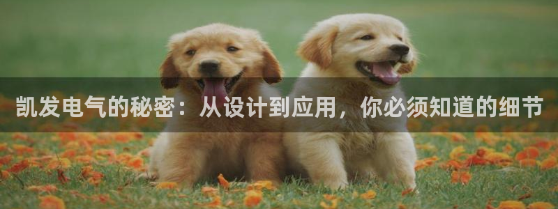 聚彩平台开户