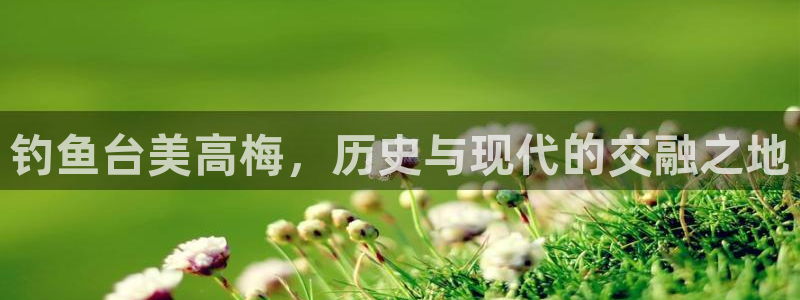 聚彩官网入口：钓鱼台美高梅，历史与现代的交融之地