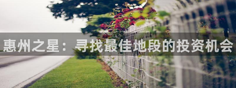 聚彩5注册：惠州之星：寻找最佳地段的投资机会