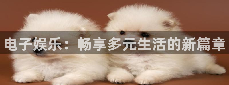 聚彩体育官网：电子娱乐：畅享多元生活的新篇章