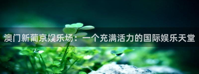 聚彩体育官网注册：澳门新葡京娱乐场：一个充满活力的国际娱乐天堂