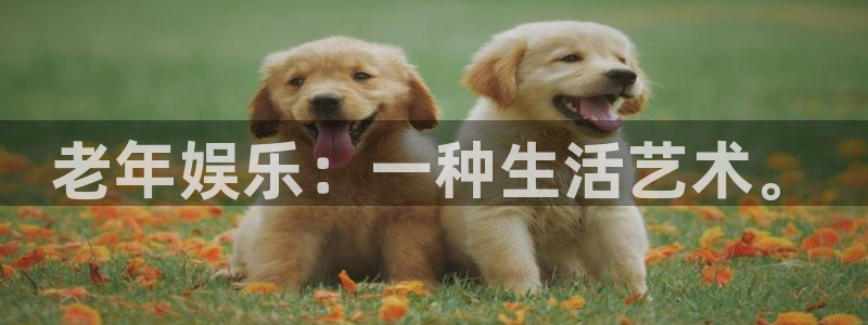 聚彩注册：老年娱乐：一种生活艺术。