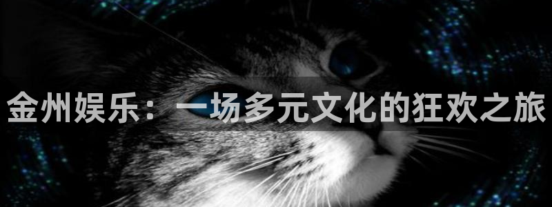 聚彩平台在线开户：金州娱乐：一场多元文化的狂欢之旅