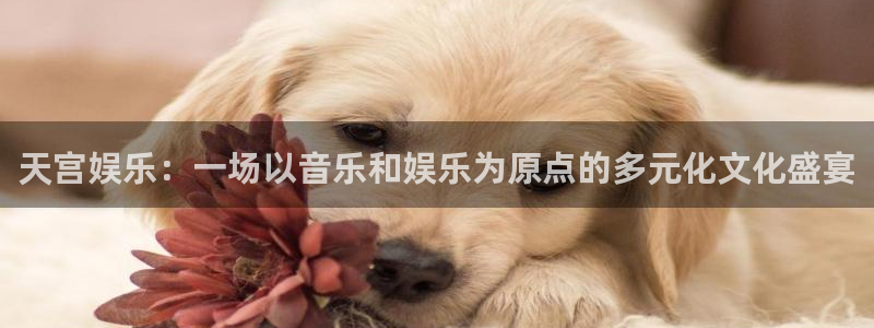 聚彩体育注册平台：天宫娱乐：一场以音乐和娱乐为原点的多元化文化盛宴