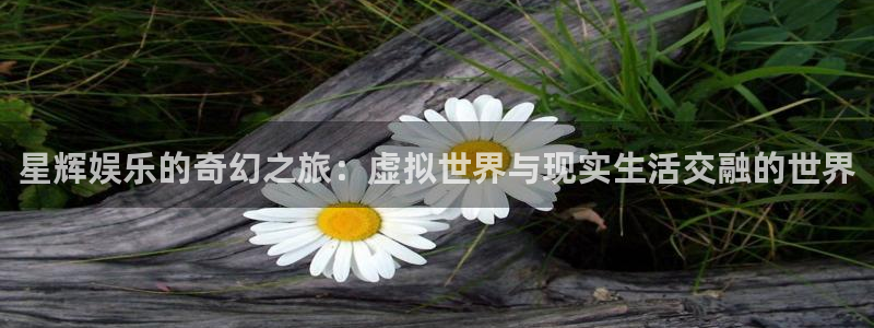 聚彩官网入口：星辉娱乐的奇幻之旅：虚拟世界与现实生活交融的世界