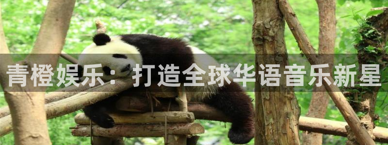 聚彩体育凯捷平台注册：青橙娱乐：打造全球华语音乐新星
