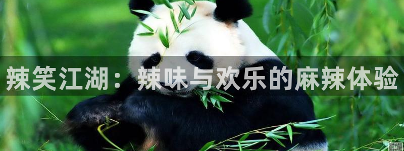 聚彩体育官网注册：辣笑江湖：辣味与欢乐的麻辣体验
