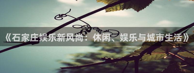 聚彩体育注册平台：《石家庄娱乐新风尚：休闲、娱乐与城市生活》