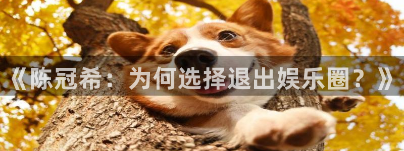 聚彩体育注册：《陈冠希：为何选择退出娱乐圈？》