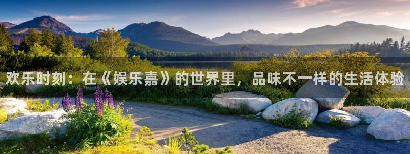 聚彩电子有限公司：欢乐时刻：在《娱乐嘉》的世界里，品味不一样的生活体验