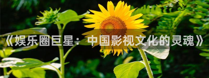 聚彩体育官网注册：《娱乐圈巨星：中国影视文化的灵魂》