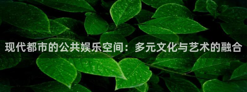 聚彩k：现代都市的公共娱乐空间：多元文化与艺术的融合