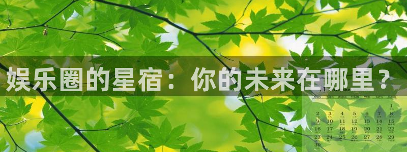 聚彩体育凯捷代理注册：娱乐圈的星宿：你的未来在哪里？