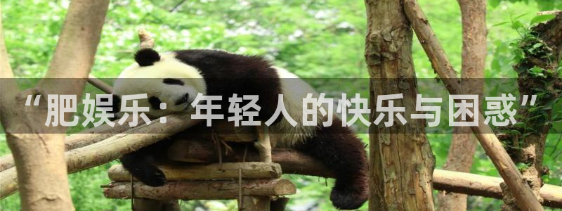 聚彩体育3在线注册：“肥娱乐：年轻人的快乐与困惑”