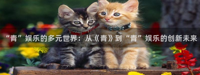 聚彩体育3：“青”娱乐的多元世界：从《青》到“青”娱乐的创新未来