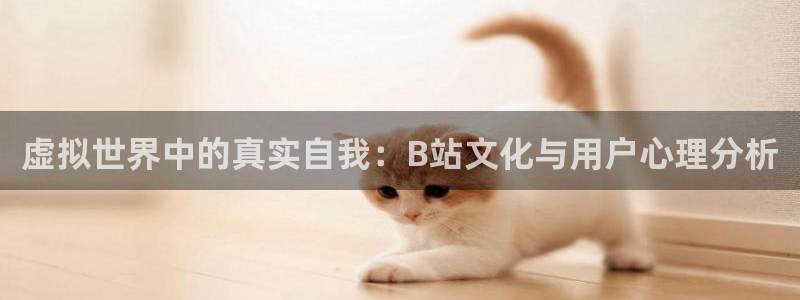 聚彩5：虚拟世界中的真实自我：B站文化与用户心理分析