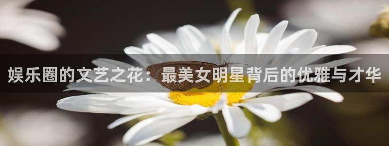 聚彩股份：娱乐圈的文艺之花：最美女明星背后的优雅与才华