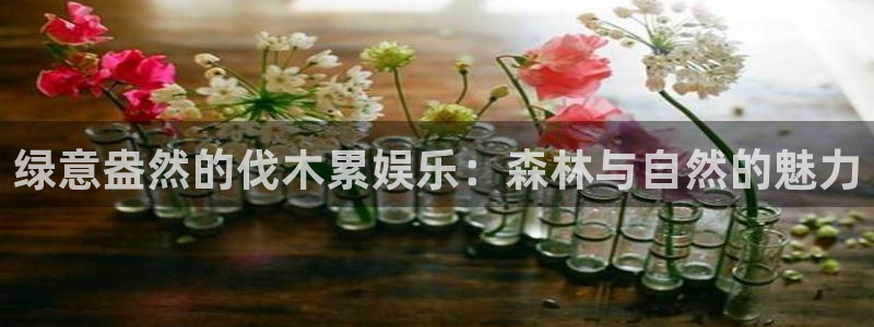 聚彩2平台
