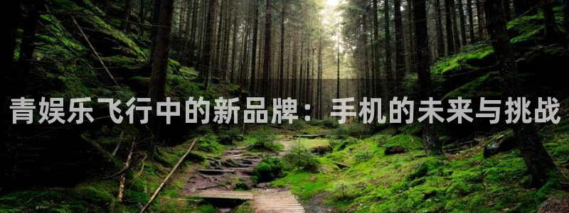 聚彩3：青娱乐飞行中的新品牌：手机的未来与挑战