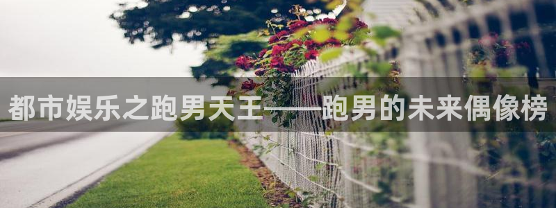 聚彩平台在线注册：都市娱乐之跑男天王——跑男的未来偶像榜