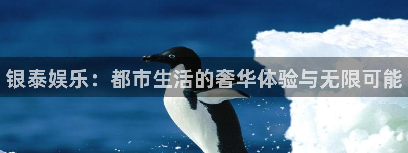 聚彩体育论坛